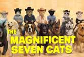The Meowgnificent Seven — A Feline Western Classic
